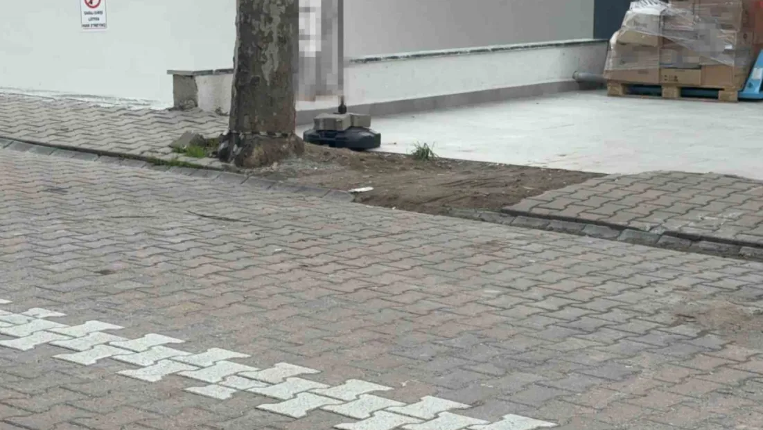 Kocaeli'de bulduğu poşetin içinden 60 bin dolar çıktı