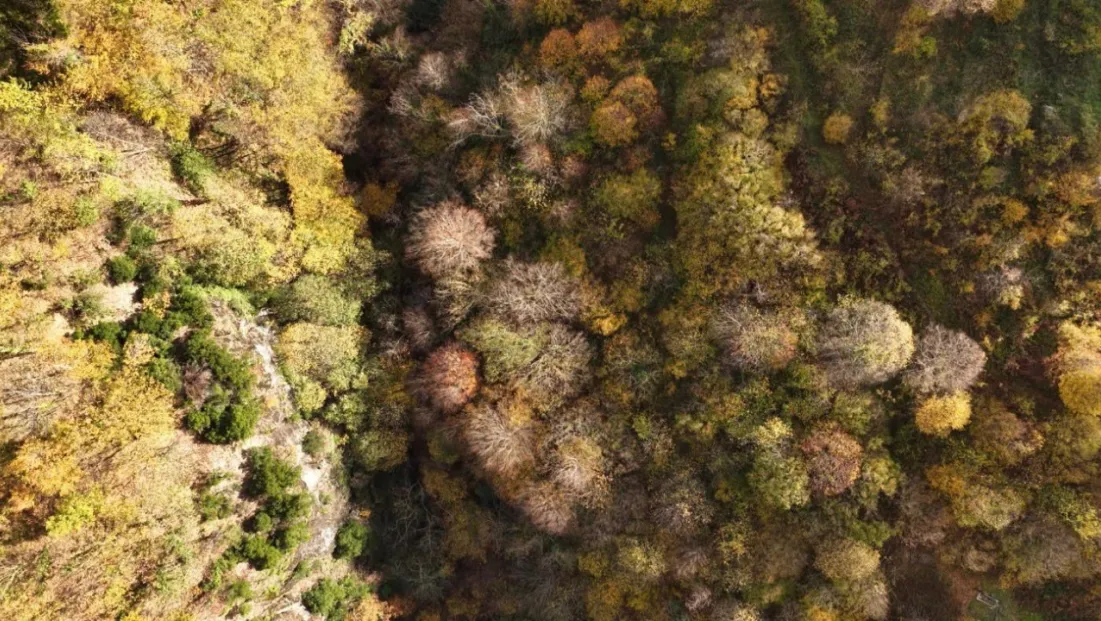 İstanbul’un yanı başında sonbahar rotası