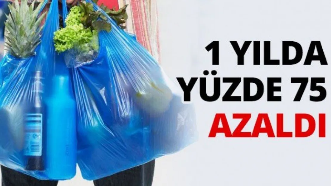 1 yılda yüzde 75 azaldı