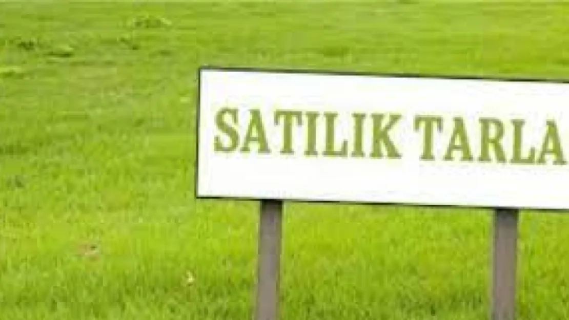 2 dönümlük tarla icradan satılıyor!