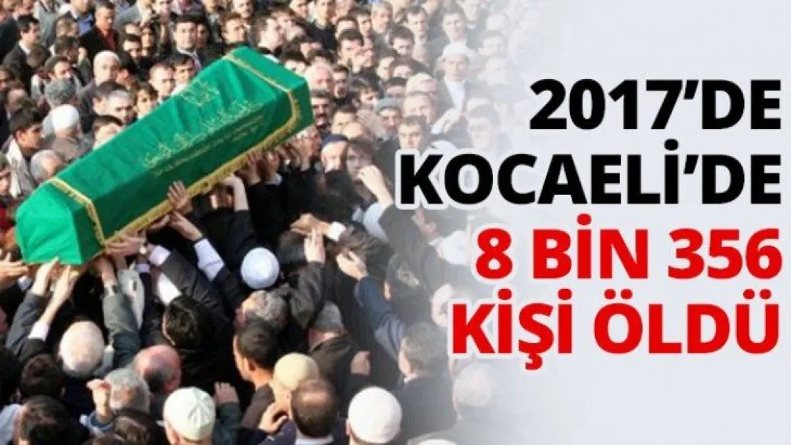 2017'de Kocaeli'de 8 Bin 356 kişi öldü
