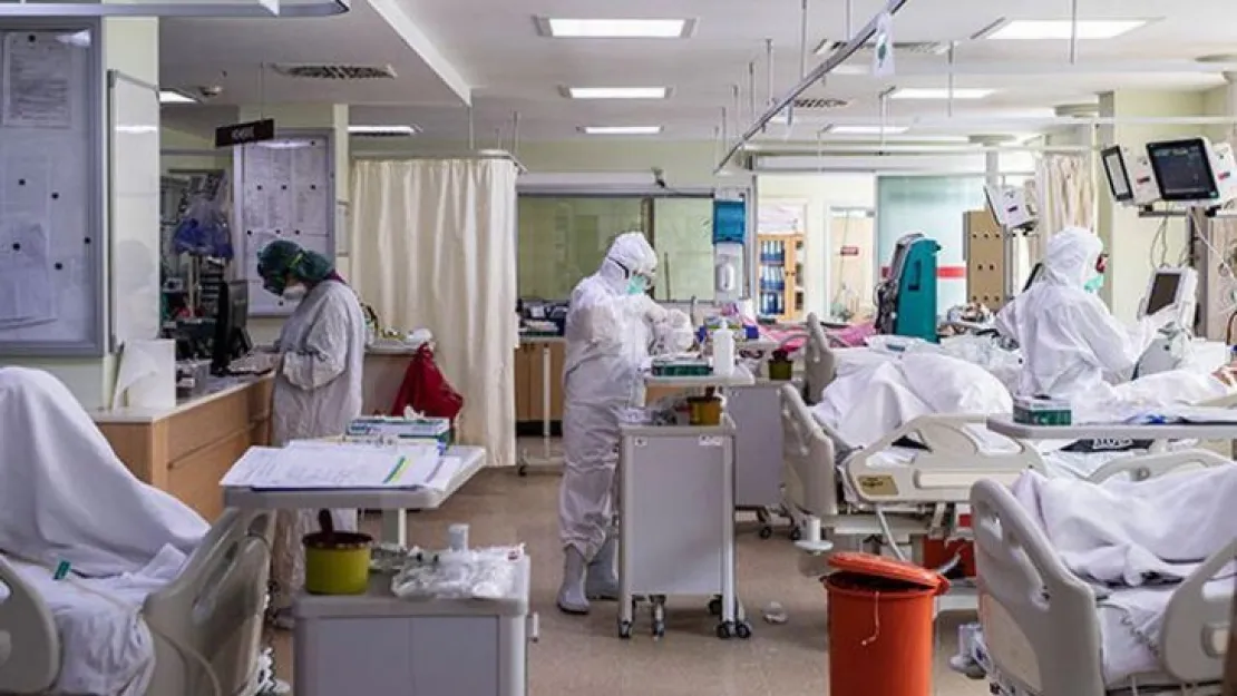 221 kişi yaşamını yitirdi
