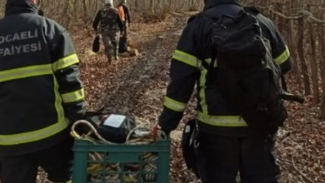 30 metre derinlikten vadiye düşen Boncuk'a kurtarma operasyonu