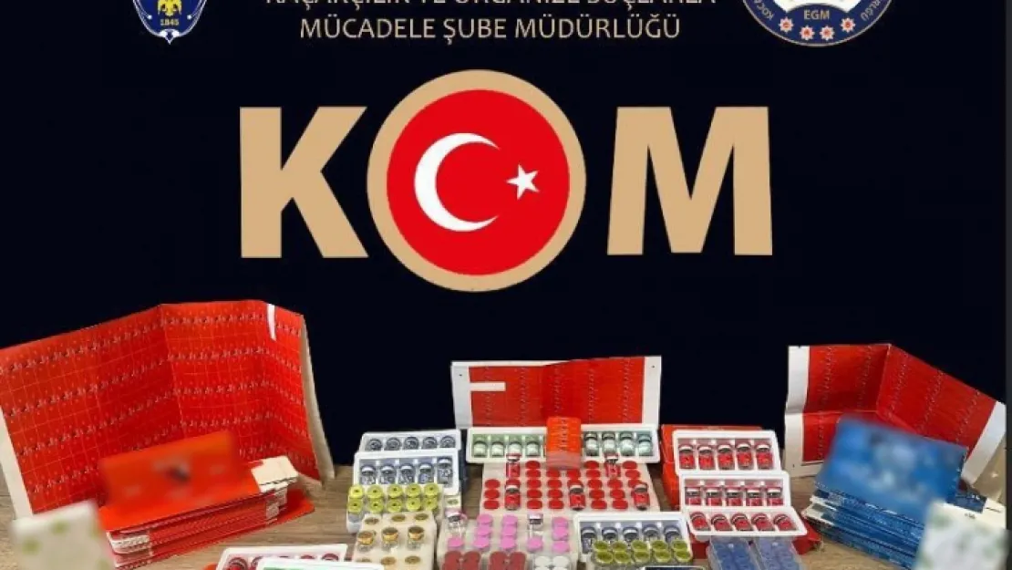 Kocaeli'de gümrük kaçağı hayvansal ilaç ele geçirildi