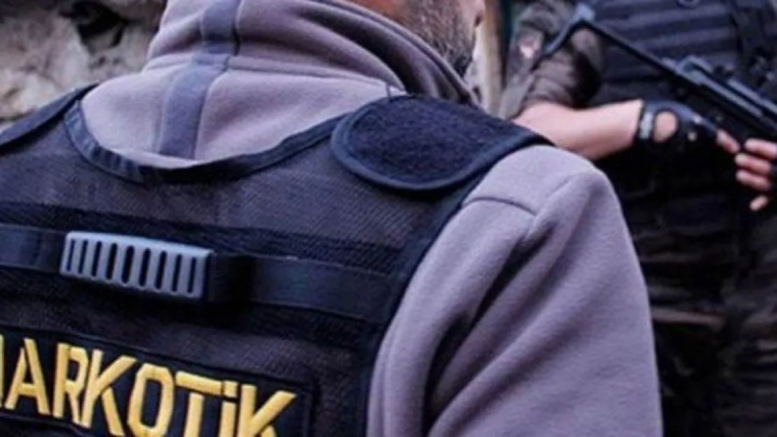 3480 kök kenevir bitkisi ele geçirildi