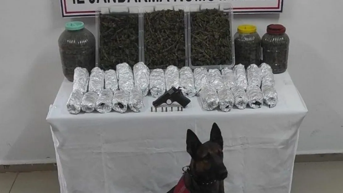 4 kilo 380 gram esrar ile yakalandı