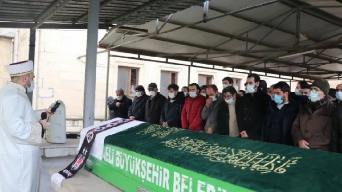 6 ay önce evlenen Körfezli akademisyen kalbine yenildi!