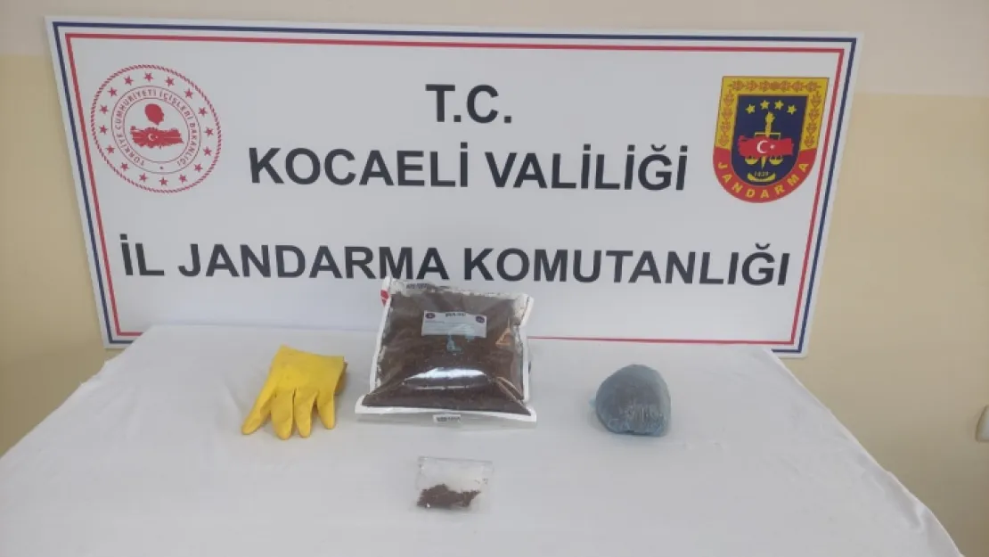 650 gram bonzai ele geçirildi