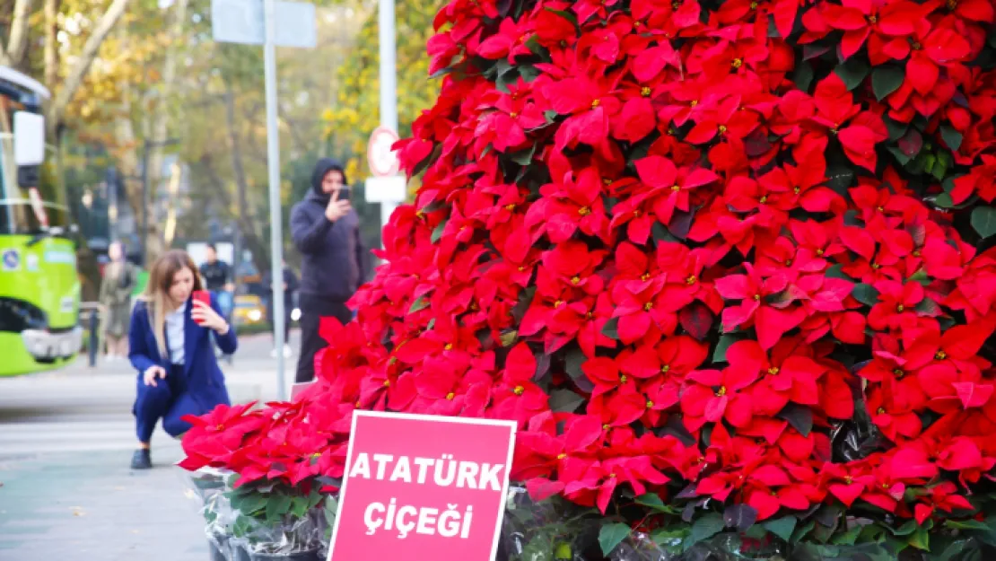 84. yılda 1084 Atatürk çiçeği