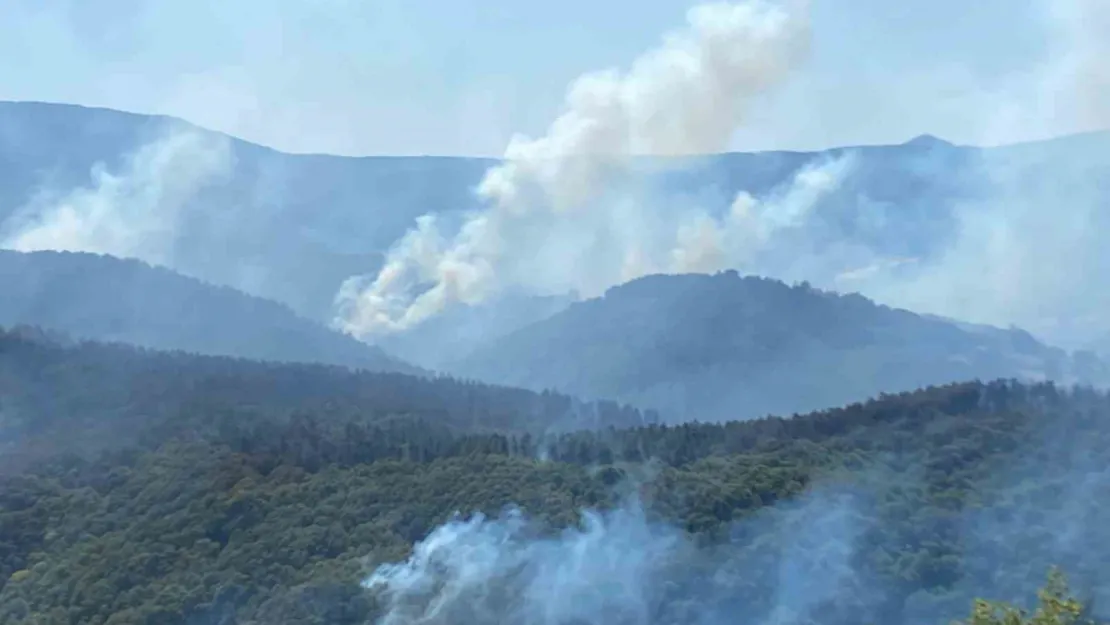 963 personel, 16 hava aracı ile Karamürsel'deki yangına büyük seferberlik