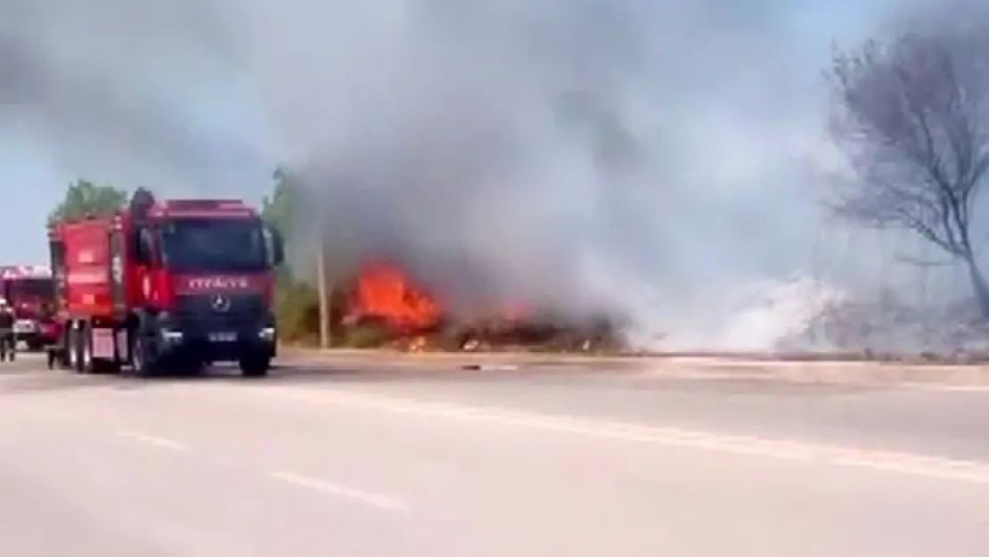 Kocaeli'de ağaçlık alanda yangın