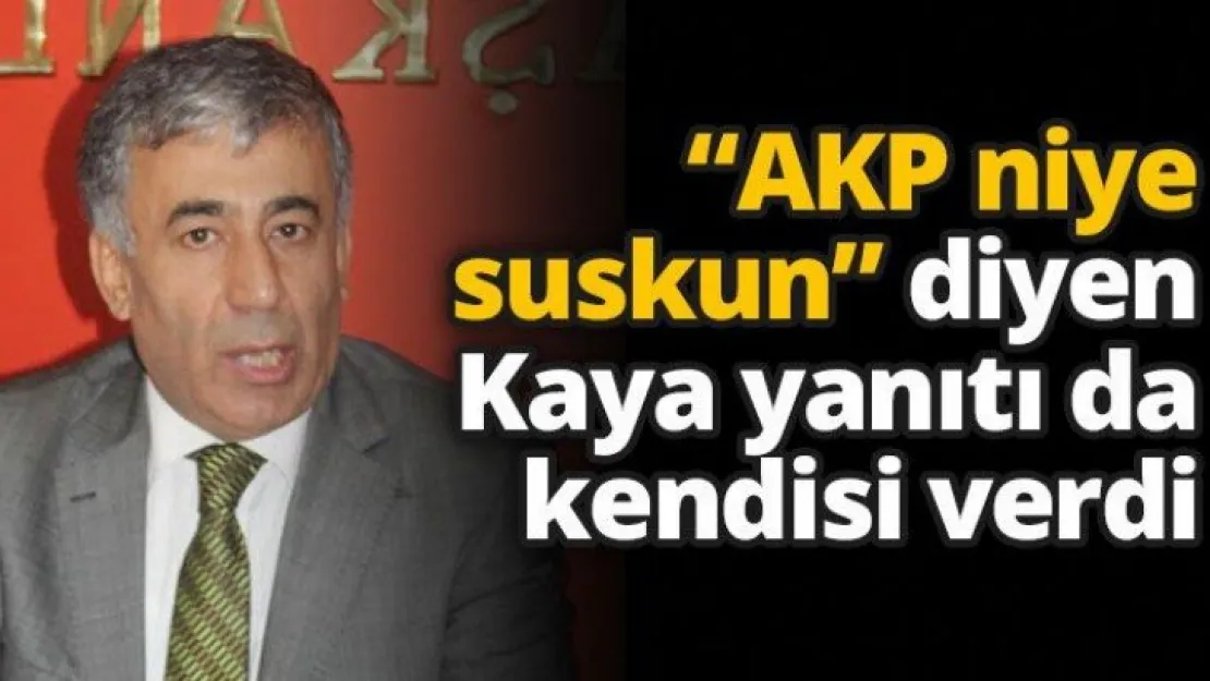 'AKP niye suskun' diyen Kaya yanıtı da kendisi verdi