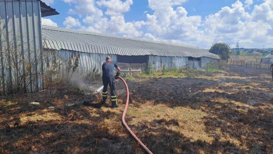 Kocaeli'de anız yangını