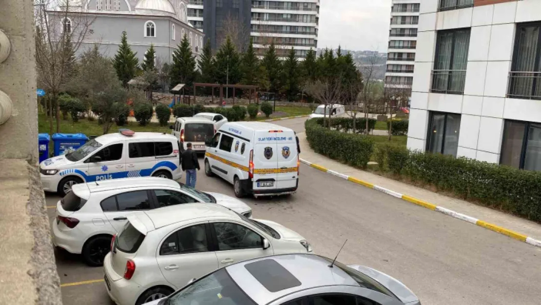 Anne, tartıştığı oğlunu tabancayla yaraladı