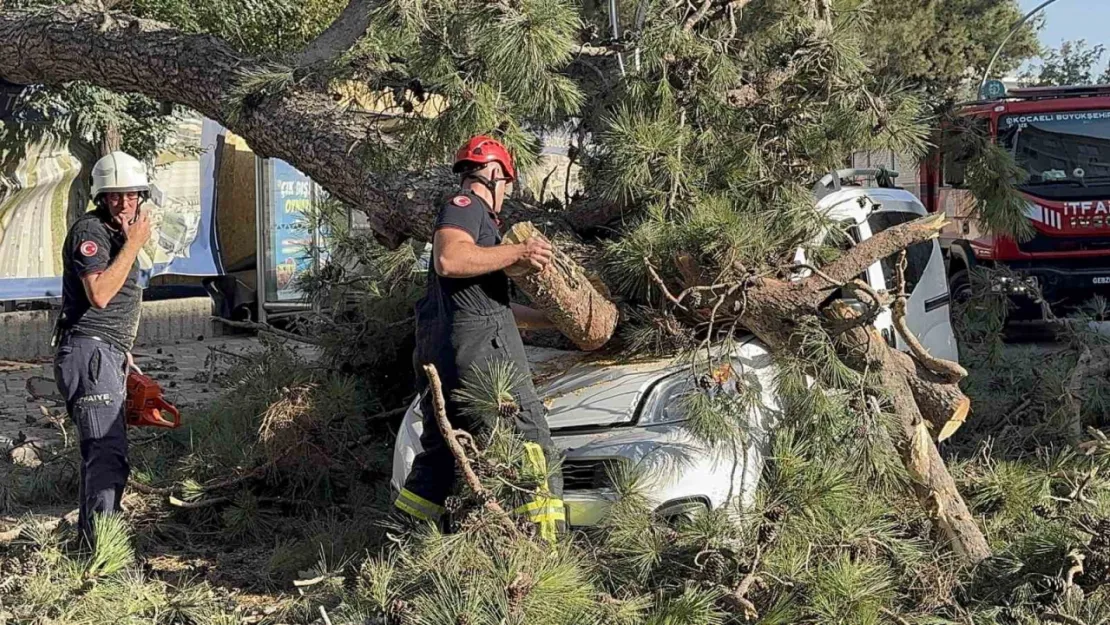 Aracıyla düz yolda giderken kabusu yaşadı