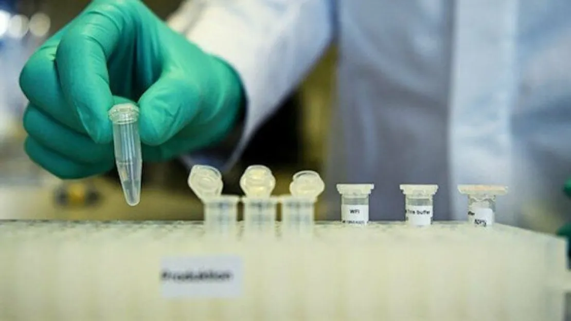 Aşı bugün test edilecek