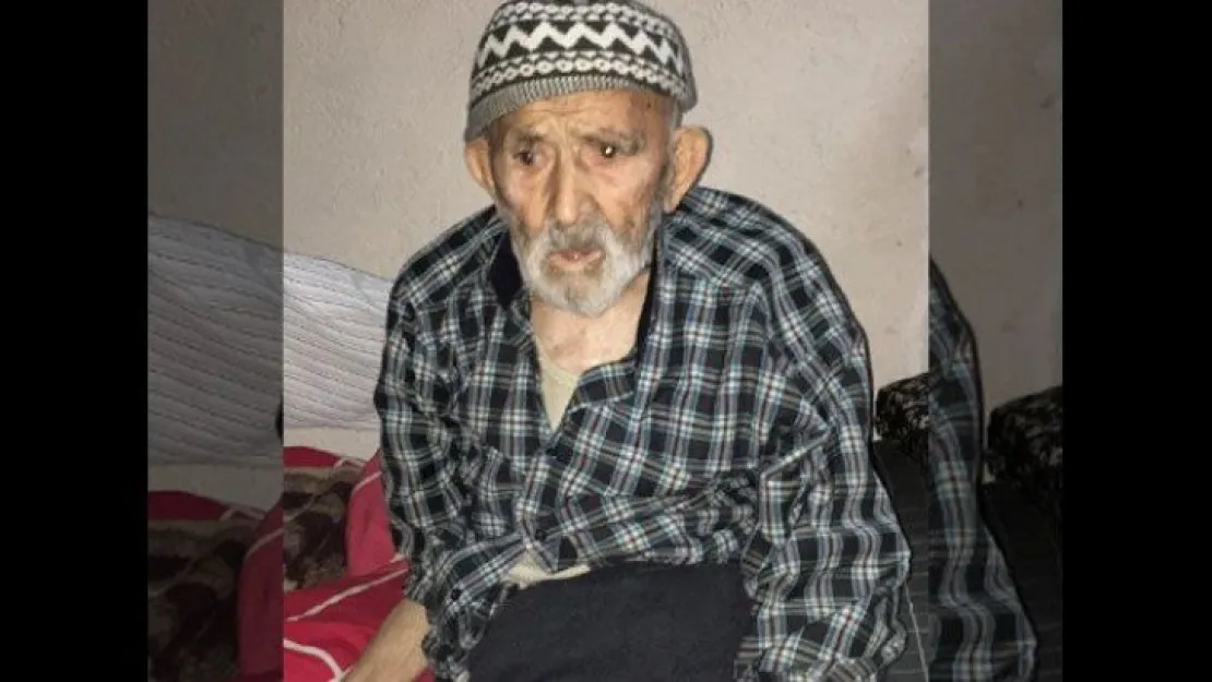 Asırlık çınar hayata gözlerini yumdu