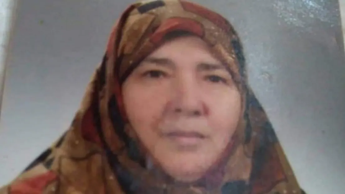 Aysun Nergis virüse yenildi