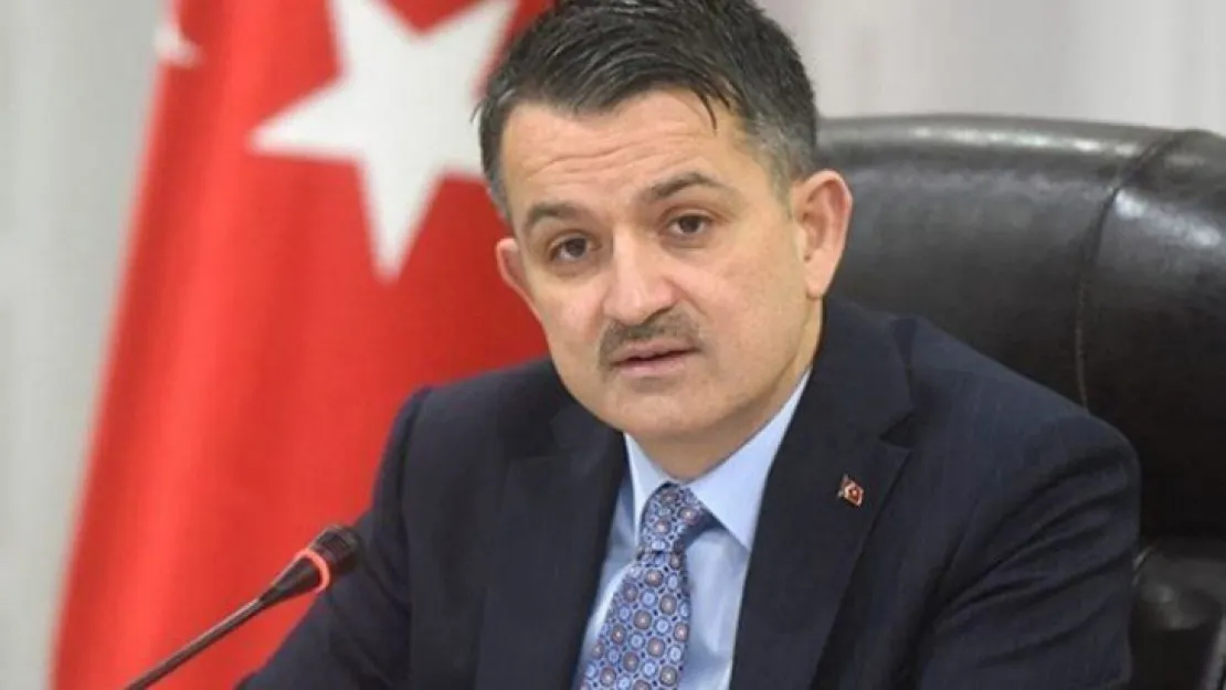 Bakan açıkladı! Fiyatlar düşecek