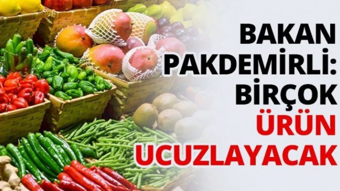 Bakan Pakdemirli: Birçok ürün ucuzlayacak
