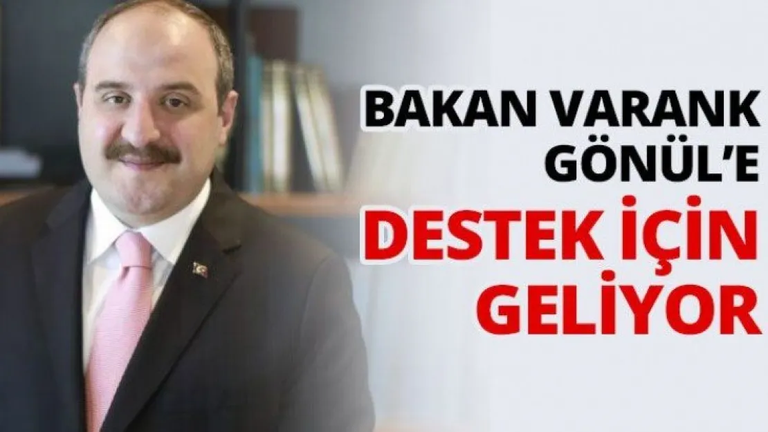 Bakan Varank Gönül'e destek için geliyor