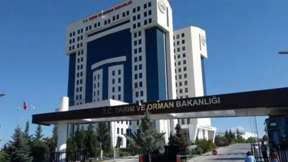 Bakanlıktan köftede tespit edilen domuz eti ile ilgili açıklama