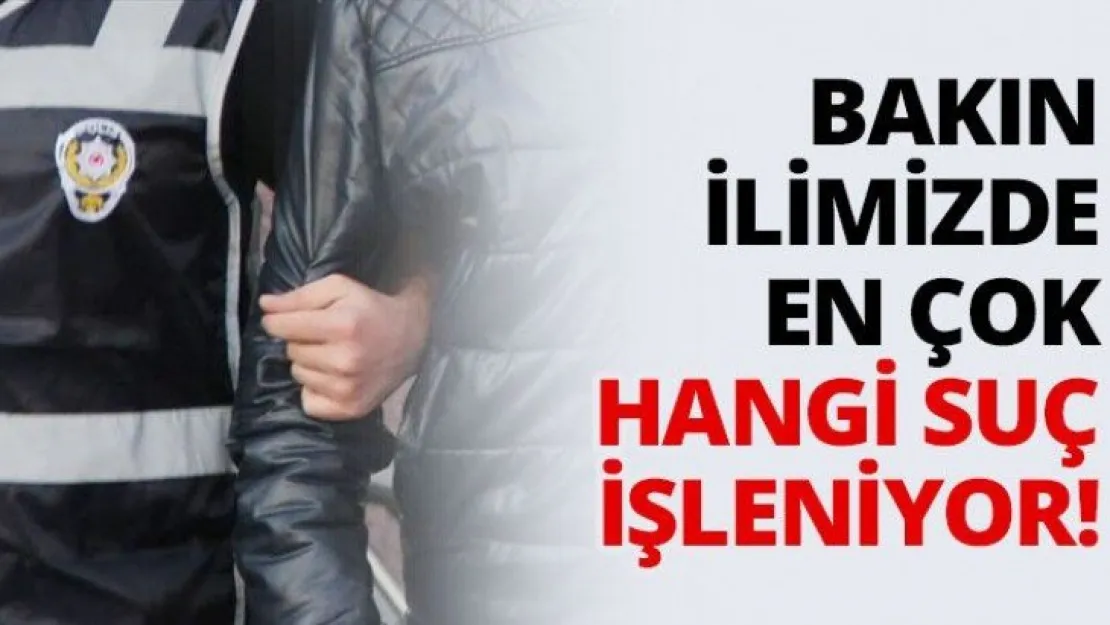 Bakın ilimizde en çok hangi suç işleniyor!