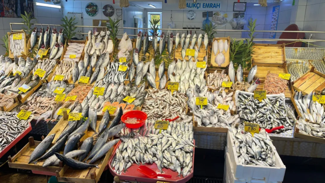 Balık fiyatları düşmeye devam ediyor