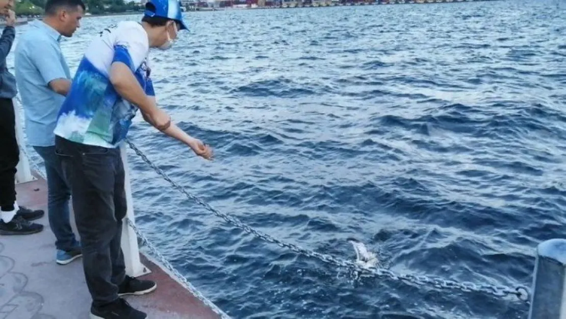 Balık oltasına bakın ne takıldı?