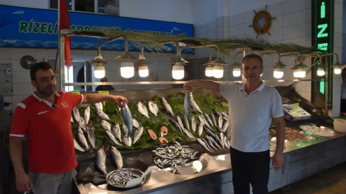 Balık tezgahında haftanın fiyatları