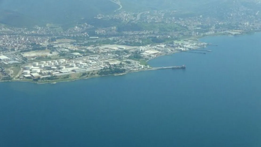 Balıkçıların korkulu rüyası İzmit Körfezi'ni büyük oranda terk etti