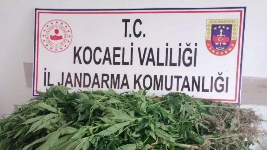 Başiskele'de uyuşturucu operasyonu!