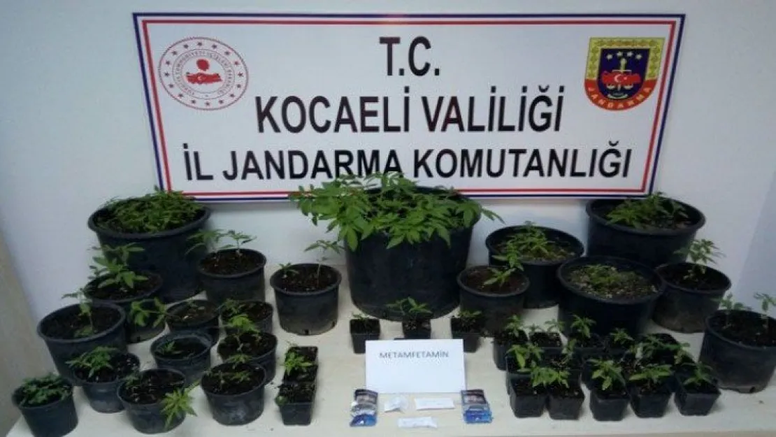 Başiskele'de uyuşturucu operasyonu