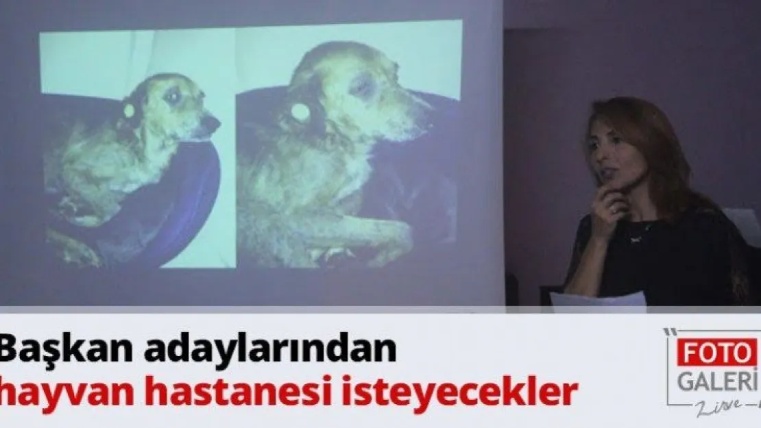 Başkan adaylarından hayvan hastanesi isteyecekler