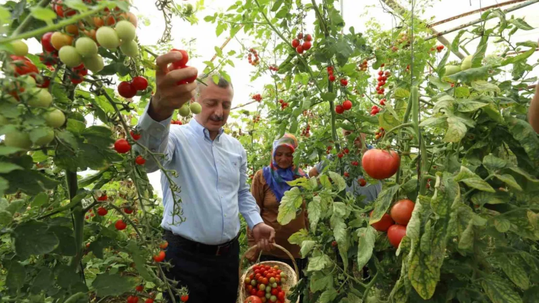 Başkan Büyükakın'dan kadın üreticiye tam destek sözü