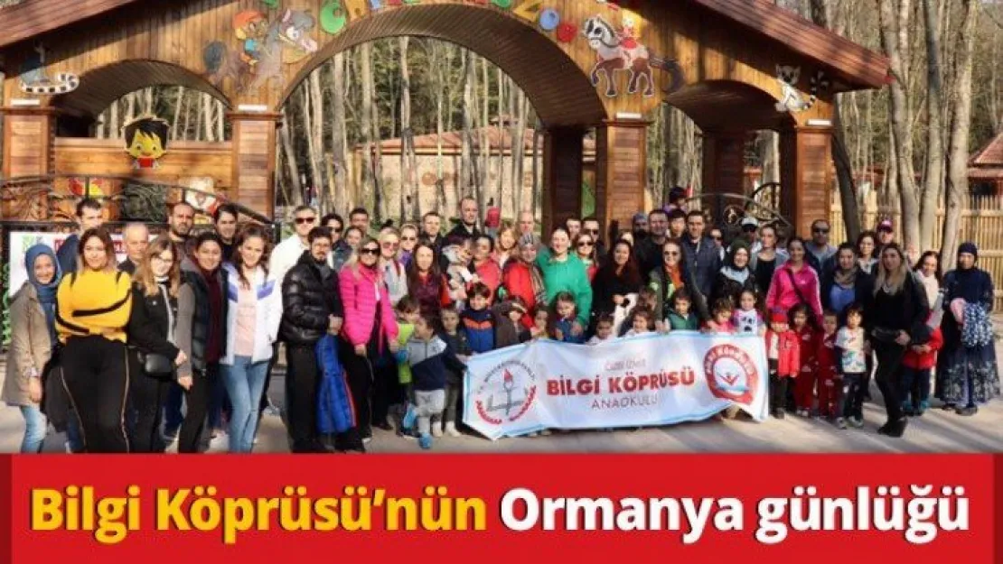 Bilgi Köprüsü'nün Ormanya günlüğü