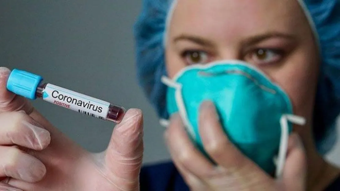 Bilim insanları açıkladı: İki tip koronavirüs var
