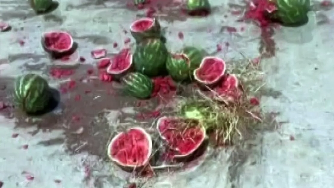 Bir römork dolusu karpuzu yere fırlatarak parçaladı
