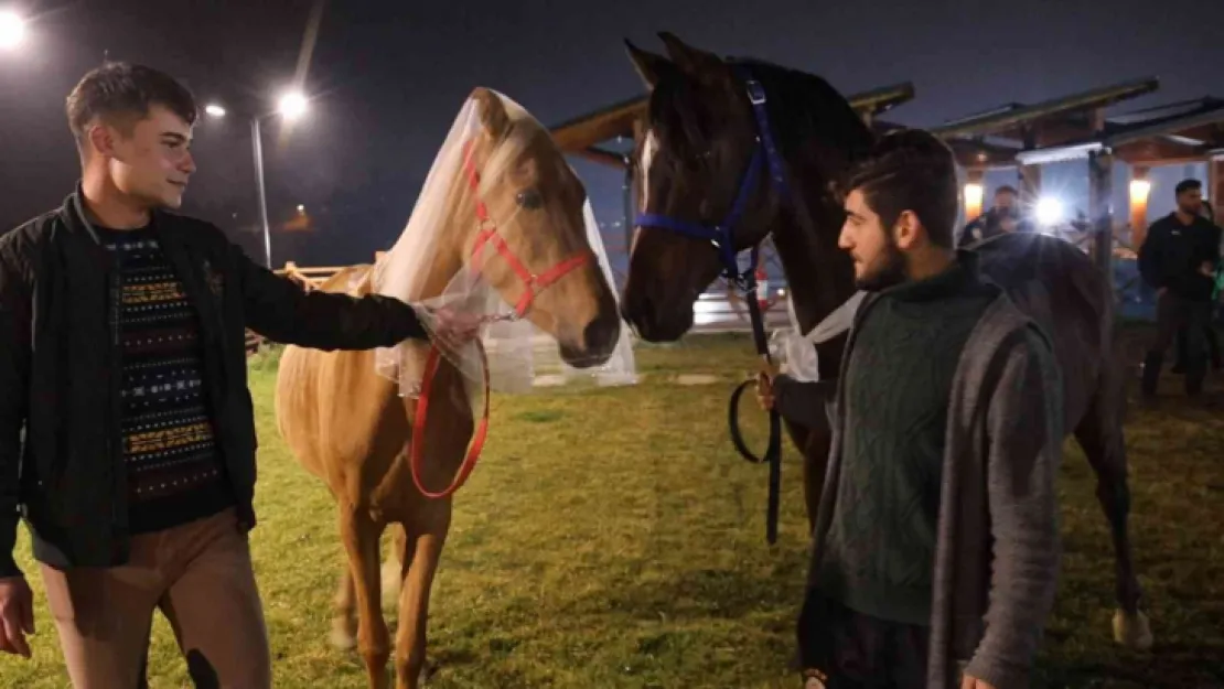 Bu düğünü görenlerin ağızları açık kaldı!