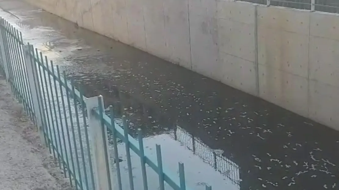 Bu kirliğine kimse neden dur demiyor