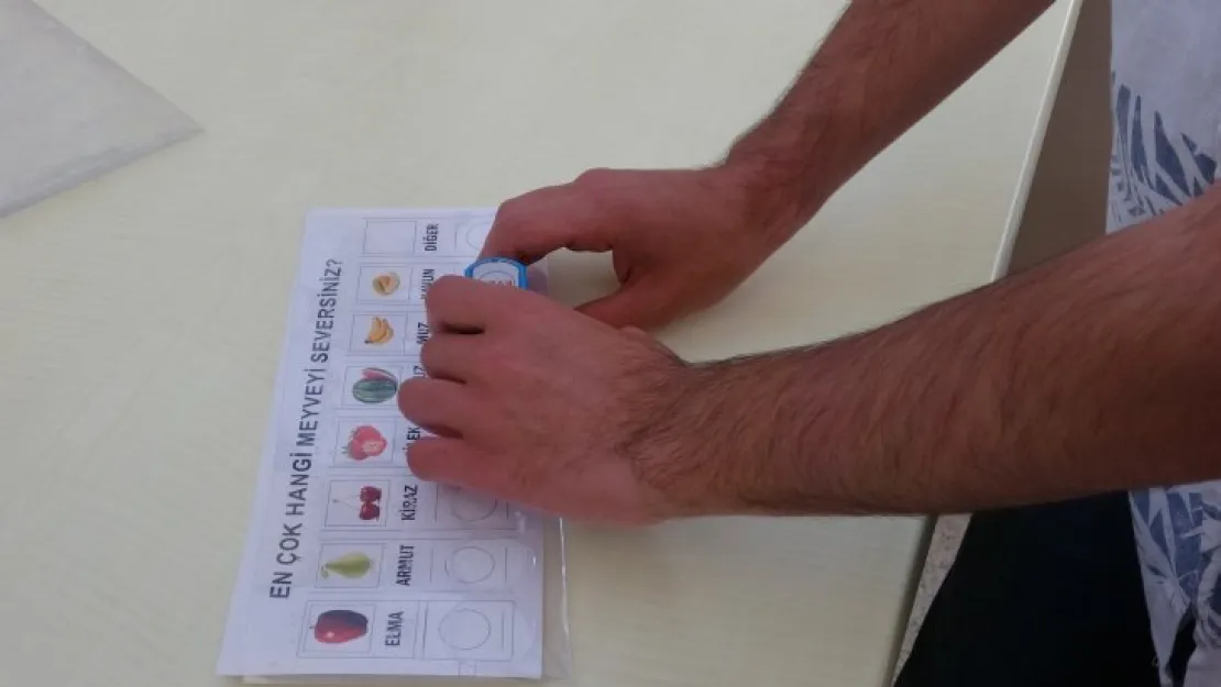 Bu sefer siyasi partiler değil meyveler oylandı