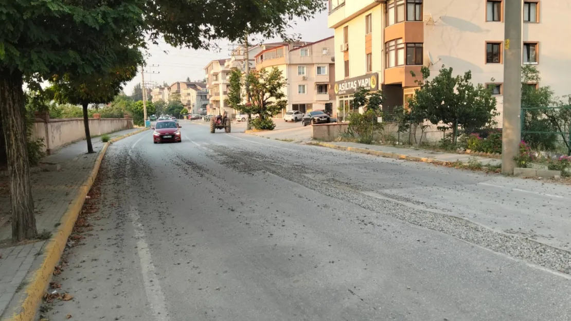 Bu yolda tehlike büyük