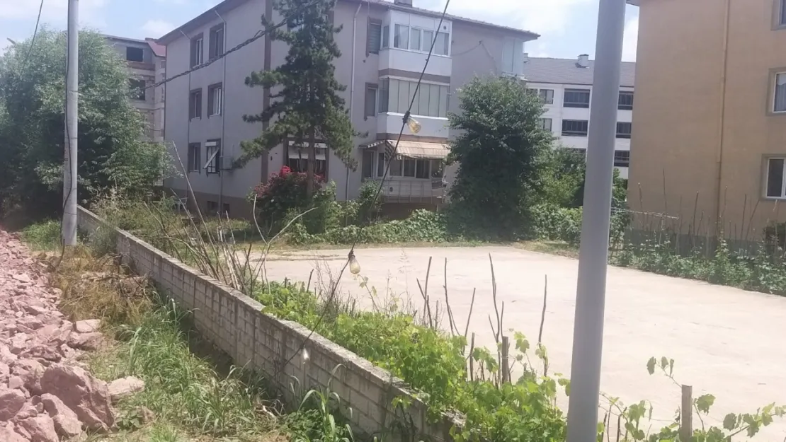 Bu zararın sorumlusu kim?