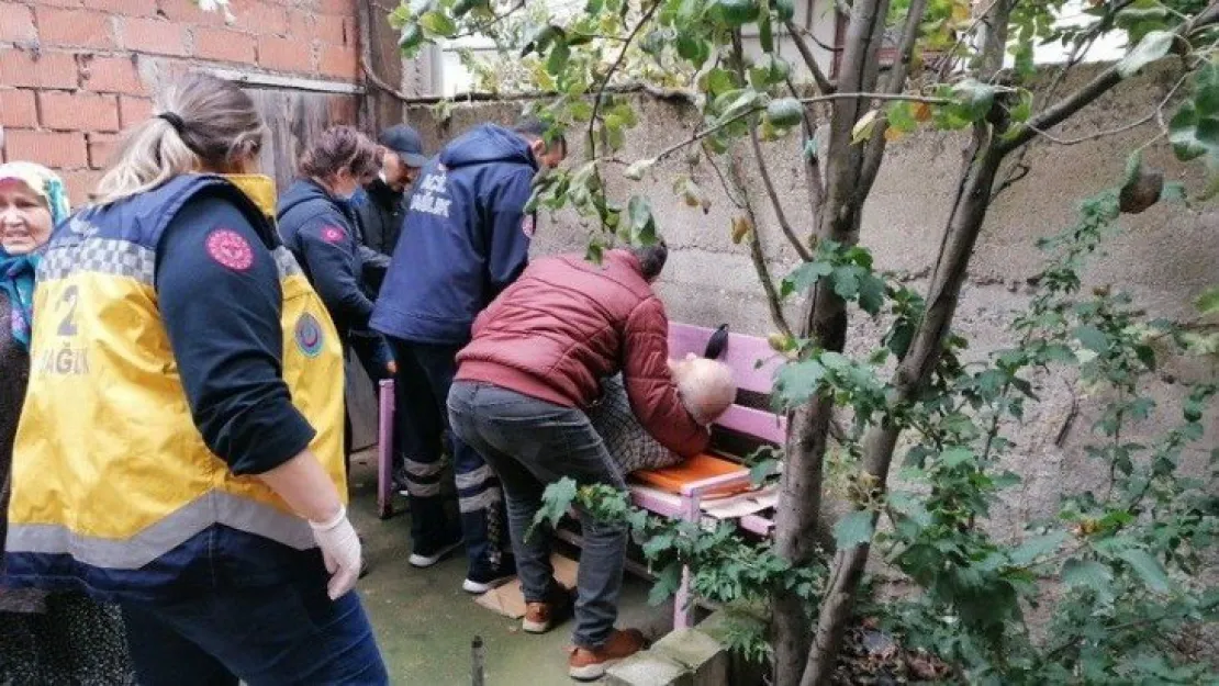 Budamak için çıktığı ağaçtan düşerek yaralandı
