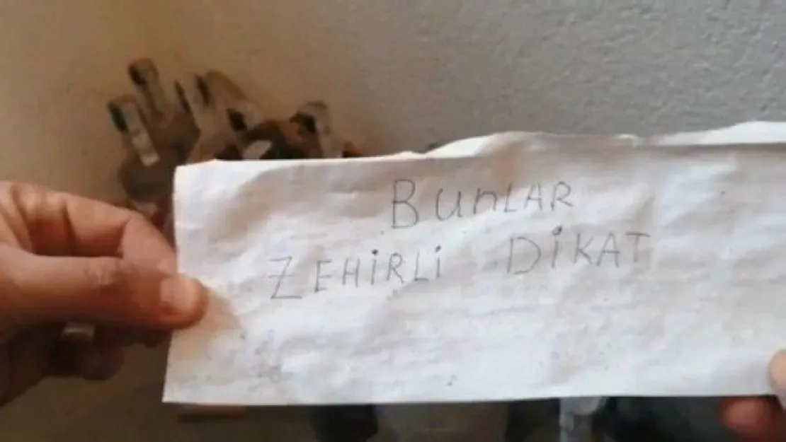 'Bunlar zehirli dikkat' 