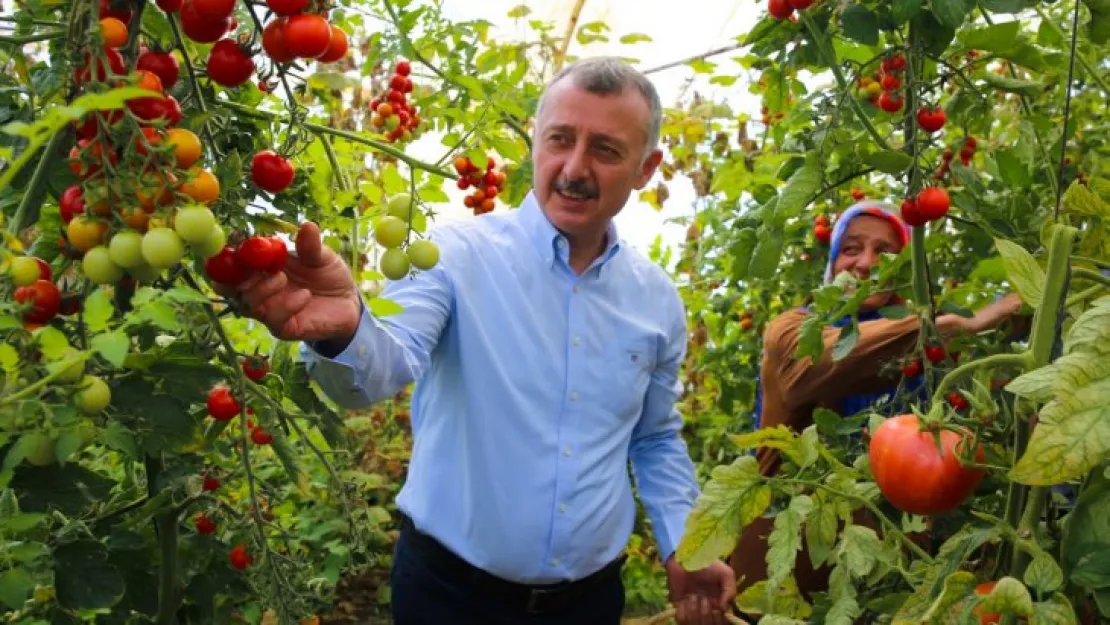 Büyükakın ürünlerin hasadını topladı