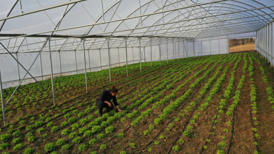 Büyükşehir'den kooperatiflere yüzde 75 hibeli tarım desteği