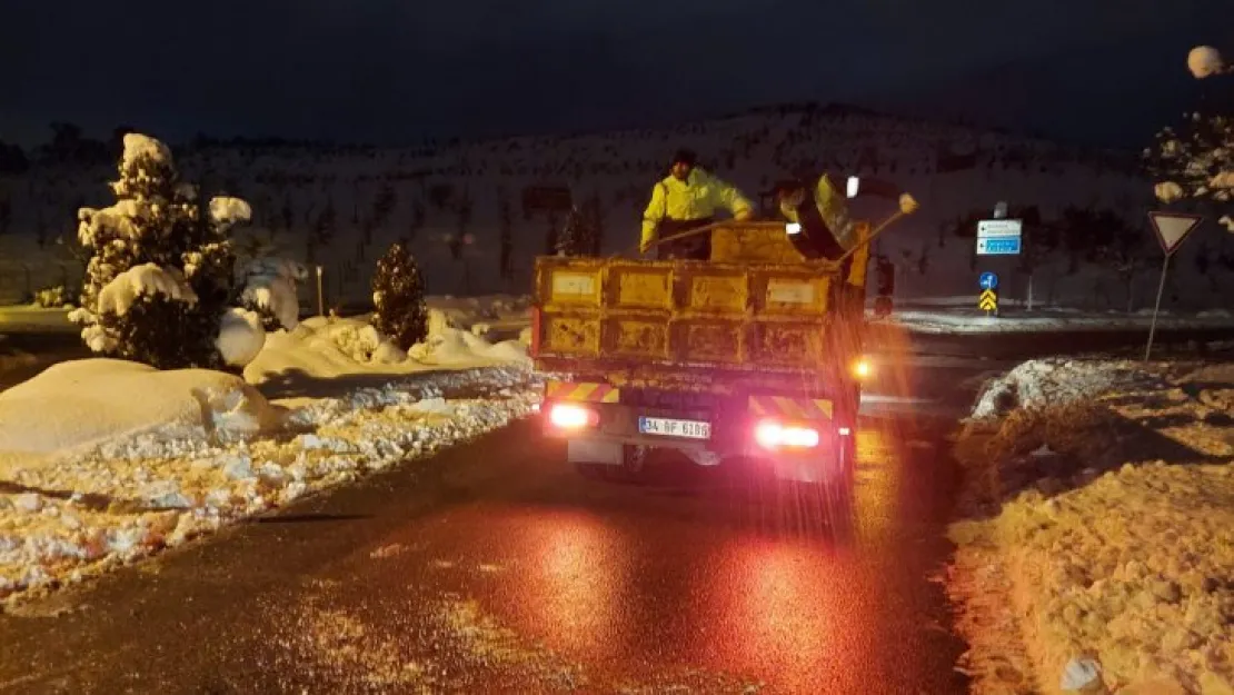 Buzlanmaya karşı tuz ve solüsyon!