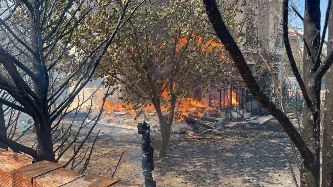 Çanakkale'de orman yangını