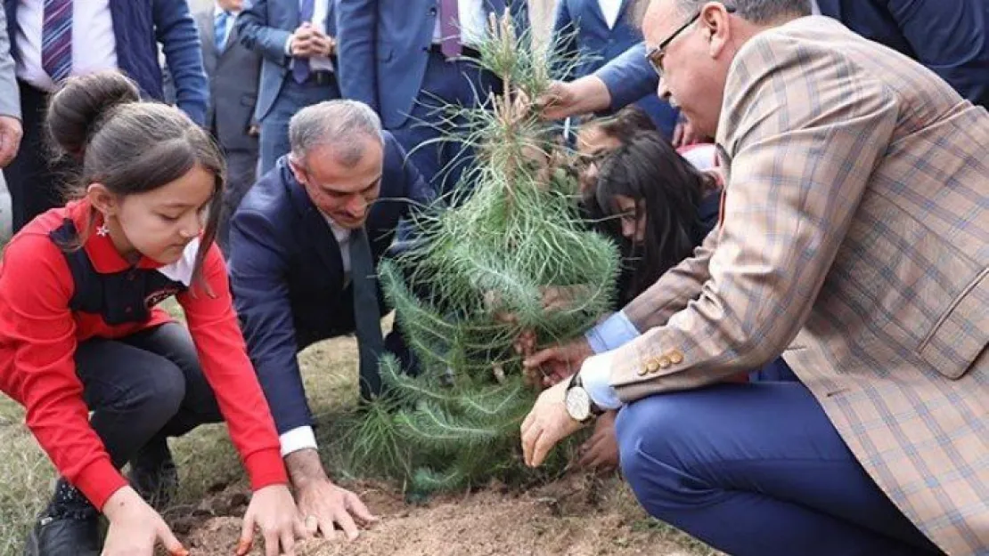 Çayırova'da yeşile 600 fidanlık katkı